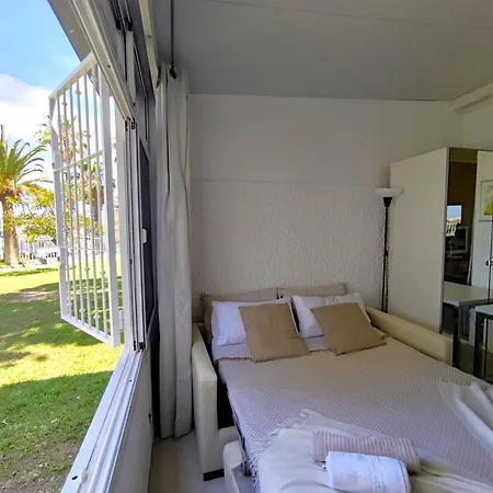 Rentenerife Canary Oasis Agarimo *