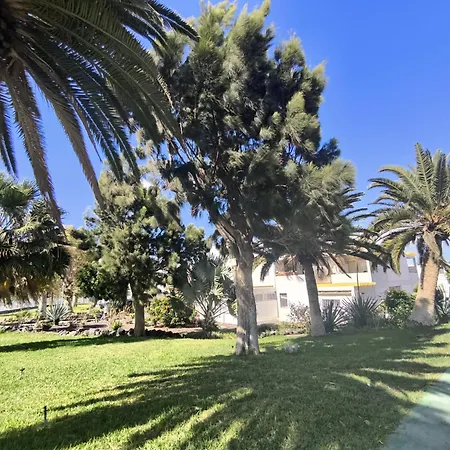 Apartamento Rentenerife Canary Oasis Agarimo Costa del Silencio