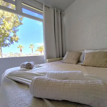 Rentenerife Canary Oasis Agarimo Apartamento