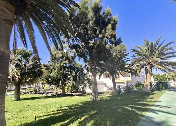 Rentenerife Canary Oasis - Agarimo Appartement