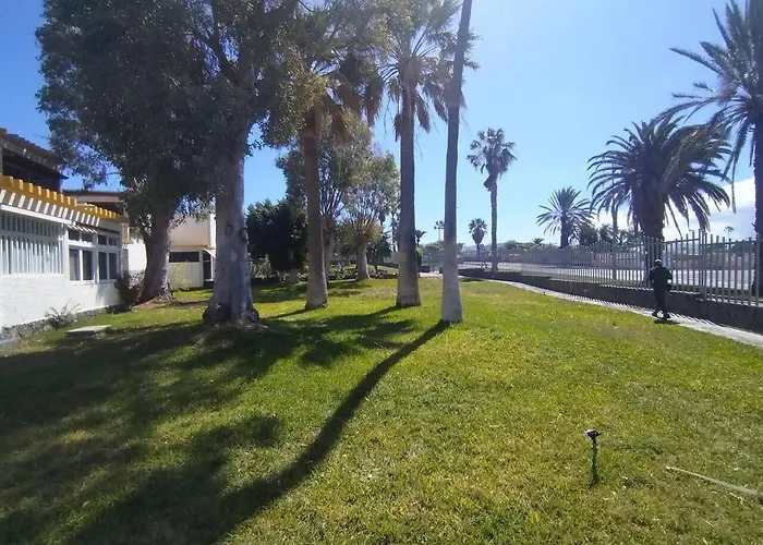 Rentenerife Canary Oasis - Agarimo Appartement Costa Del Silencio